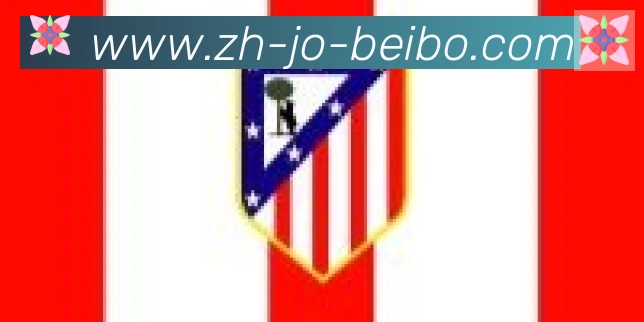 BB贝博体育官网合作伙伴